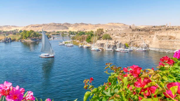 Egypt Tour : One day Aswan tour from Cairo by flight visiting Philae Temple and High Dam