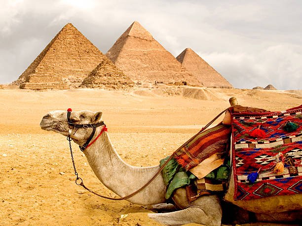 30 Day Egypt Tour Package Cairo Nile Cruise Hurghada Oasis. 30 day Egypt tour package including Cairo, Alexandria, Nile cruise, Hurghada and desert oasis