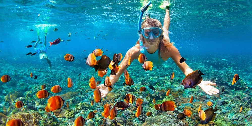 Snorkeling - Trips in Egypt