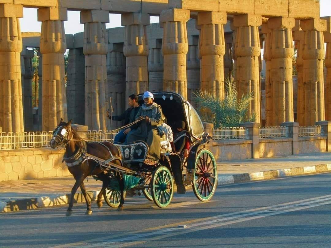 Egypt Budget Tour Budget 15-day Egypt tour visiting Cairo, Alexandria, Siwa Oasis, White Desert, Luxor temples, and Aswan Nile sights