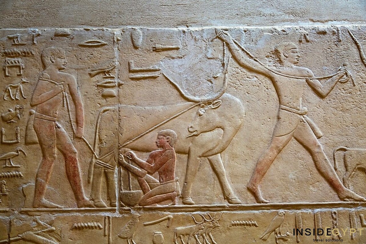 Wall reliefs inside the Tomb of Kagemni at Saqqara Necropolis