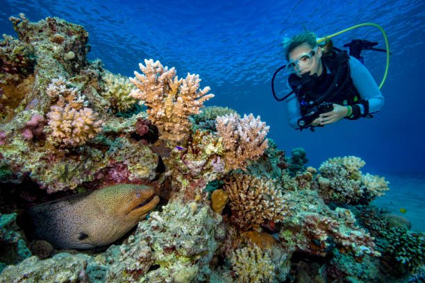 21-day luxury Egypt tour featuring a Nile Cruise, Hurghada Red Sea resort, and Alexandria highlights