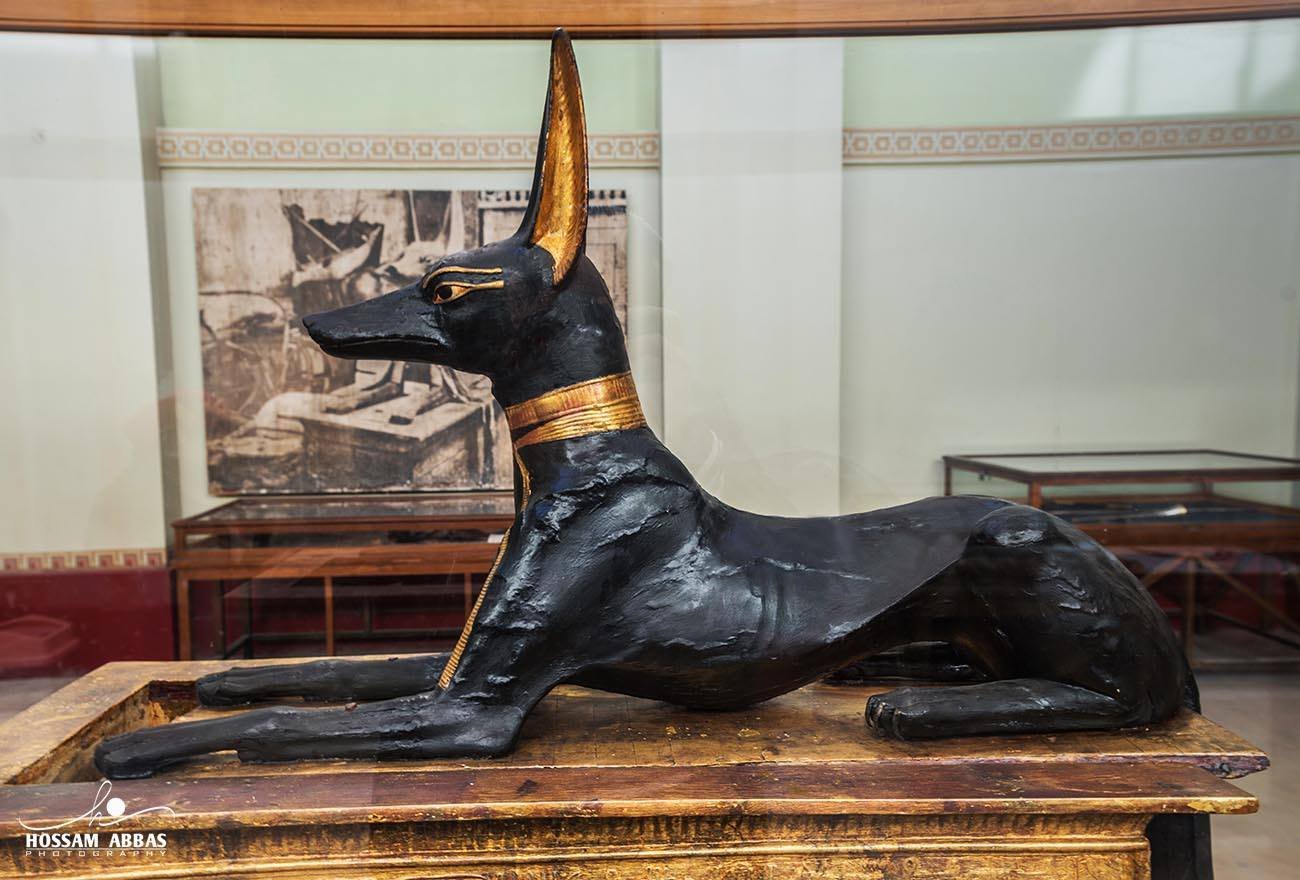 6-Day Cairo Budget Tour – All the Must-See Wonders in One Trip Experience the vibrant daily life of Cairo, adding an authentic cultural dimension to this budget Egypt tour.